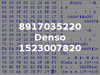 8917035220 Denso 1523007820