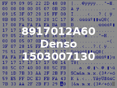 8917012A60 Denso 1503007130