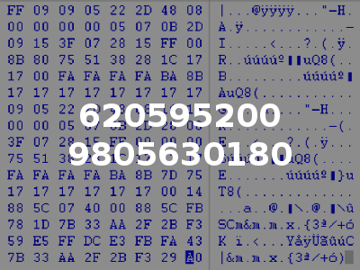 620595200 9805630180