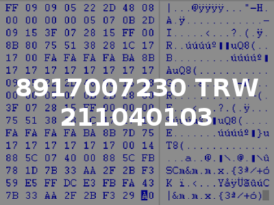 8917007230 TRW 211040103