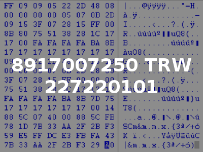 8917007250 TRW 227220101