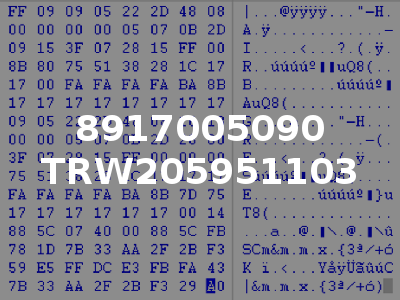 8917005090 TRW205951103
