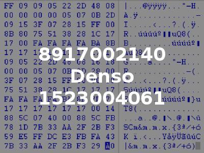8917002140 Denso 1523004061