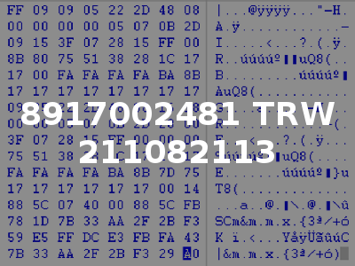 8917002481 TRW 211082113