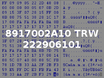 8917002A10 TRW 222906101
