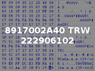 8917002A40 TRW 222906102