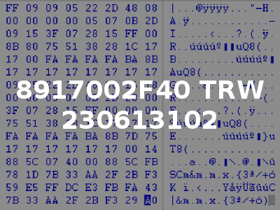 8917002F40 TRW 230613102