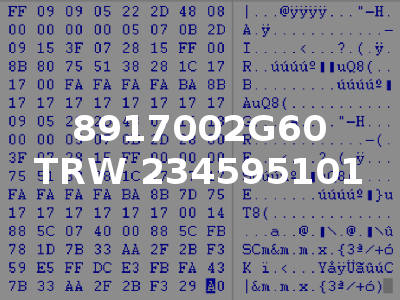 8917002G60 TRW 234595101