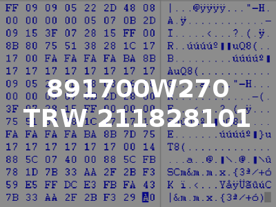 891700W270 TRW 211828101