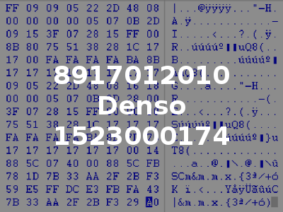8917012010 Denso 1523000174