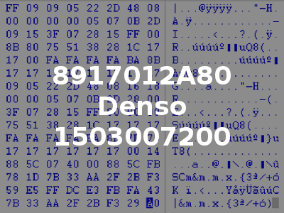 8917012A80 Denso 1503007200