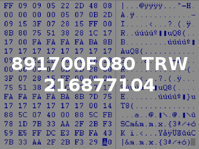 891700F080 TRW 216877104