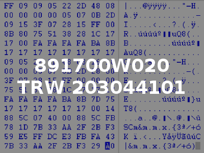 891700W020 TRW 203044101
