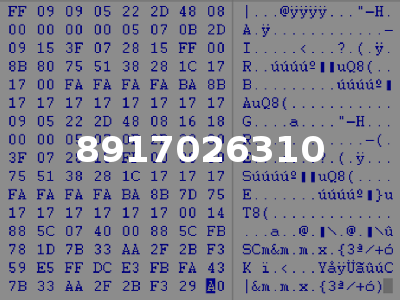 8917026310