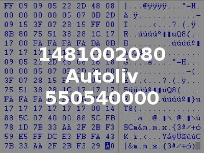 1481002080 Autoliv 550540000
