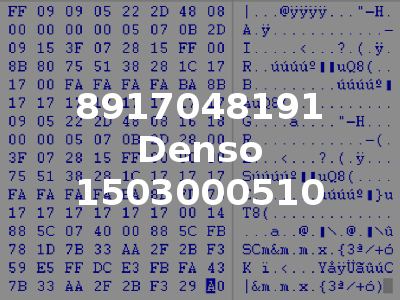 8917048191 Denso 1503000510