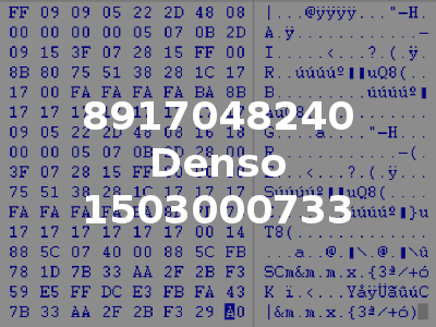8917048240 Denso 1503000733
