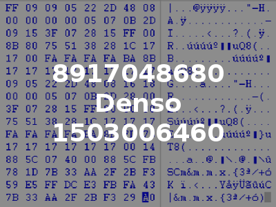 8917048680 Denso 1503006460