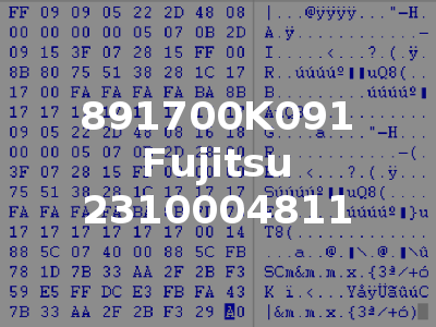 891700K091 Fujitsu 2310004811