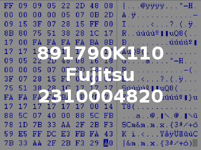 891790K110 Fujitsu 2310004820