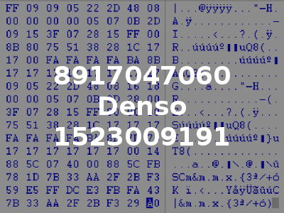 8917047060 Denso 1523009191