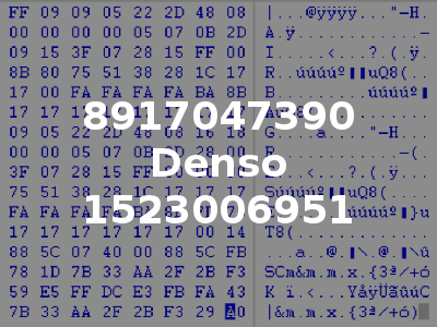 8917047390 Denso 1523006951