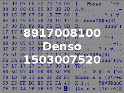 8917008100 Denso 1503007520