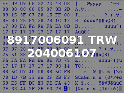 8917006091 TRW 204006107