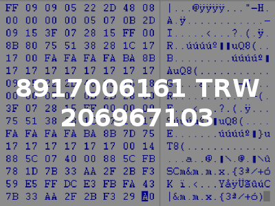 8917006161 TRW 206967103