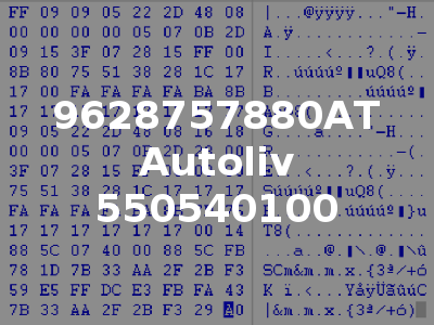 9628757880AT Autoliv 550540100