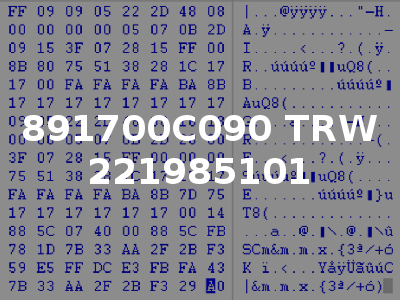 891700C090 TRW 221985101