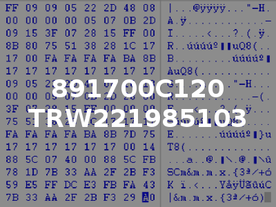 891700C120 TRW221985103