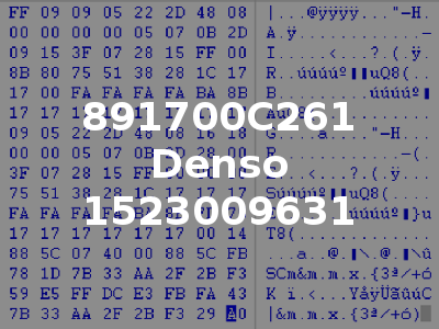 891700C261 Denso 1523009631