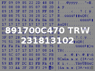 891700C470 TRW 231813102