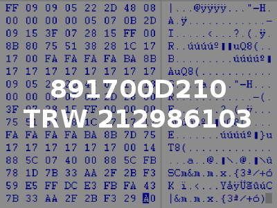 891700D210 TRW 212986103