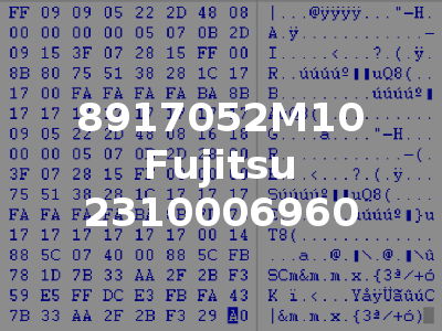 8917052M10 Fujitsu 2310006960