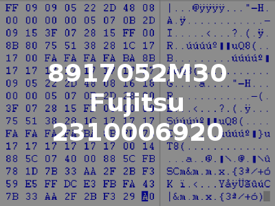 8917052M30 Fujitsu 2310006920