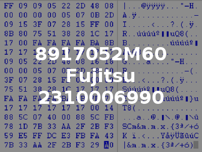 8917052M60 Fujitsu 2310006990