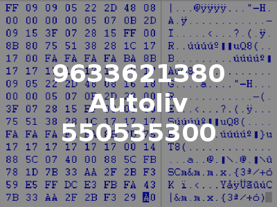 9633621380 Autoliv 550535300
