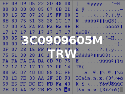 3C0909605M TRW