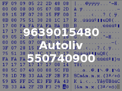 9639015480 Autoliv 550740900