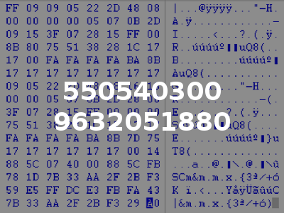 550540300 9632051880