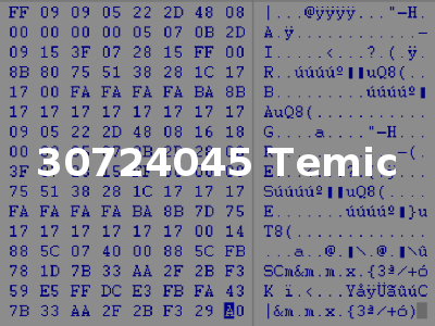 30724045 Temic