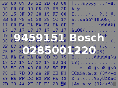 9459151 Bosch 0285001220