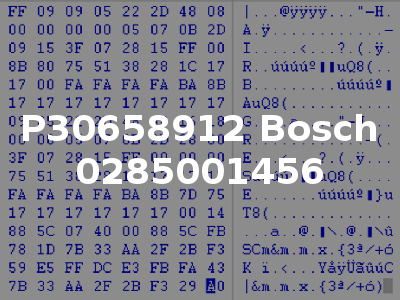 P30658912 Bosch 0285001456