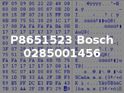 P8651523 Bosch 0285001456