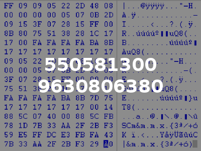 550581300 9630806380