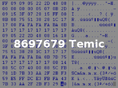 8697679 Temic