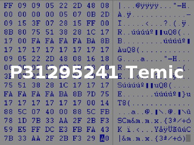 P31295241 Temic