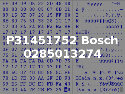 P31451752 Bosch 0285013274